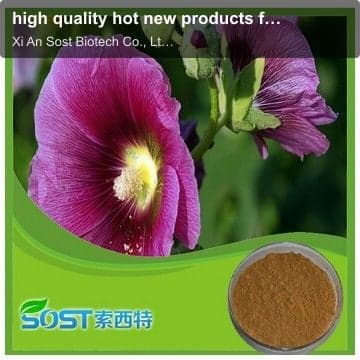 high quality hot new products for 2015 plant powder marshmallow root