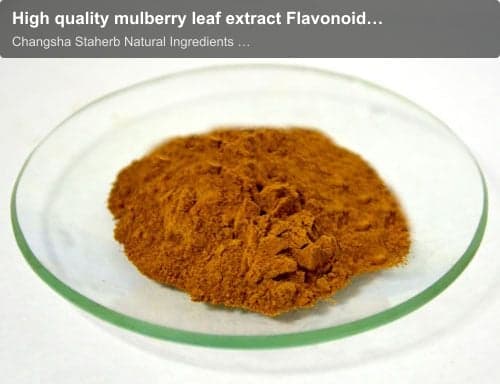 High quality mulberry leaf extract Flavonoids 10%