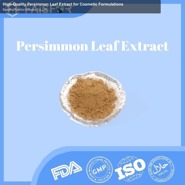 High-Quality Persimmon Leaf Extract for Cosmetic Formulations