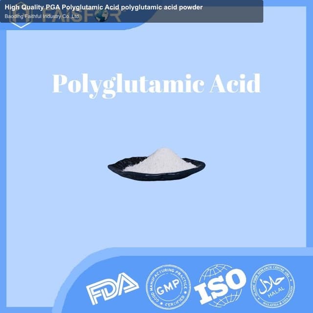 High Quality PGA Polyglutamic Acid polyglutamic acid powder