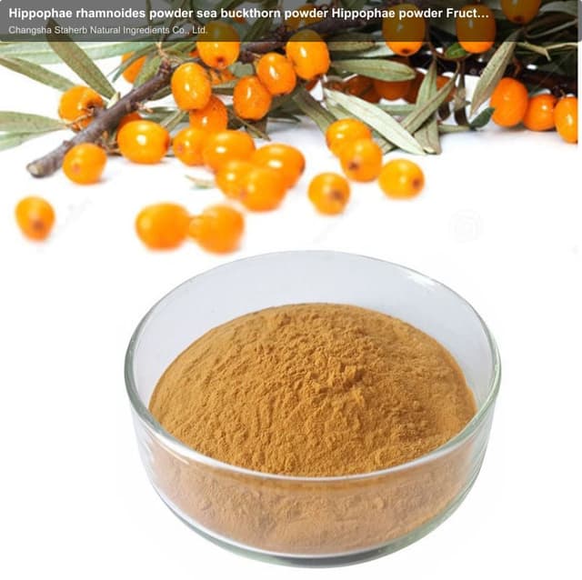 Hippophae rhamnoides powder sea buckthorn powder Hippophae powder Fructus Hippophae powder sea-buckt
