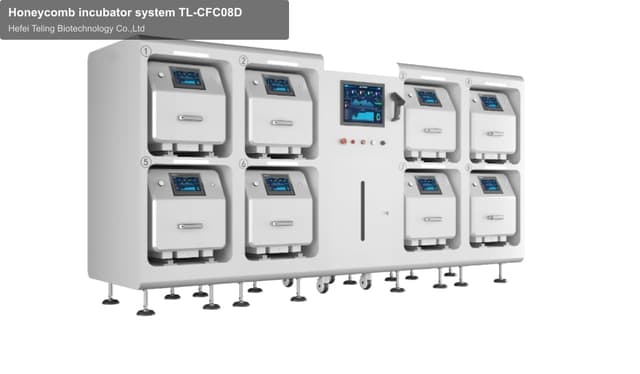 Honeycomb incubator system TL-CFC08D