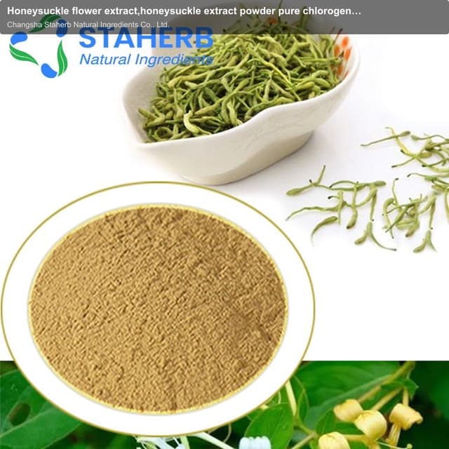 Honeysuckle flower extract,honeysuckle extract powder pure chlorogenic acid 10%-98%