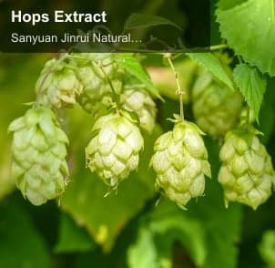 Hops Extract