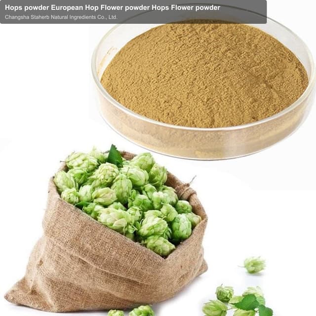 Hops powder European Hop Flower powder Hops Flower powder