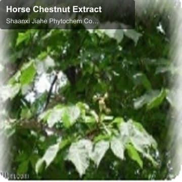 Horse Chestnut Extract
