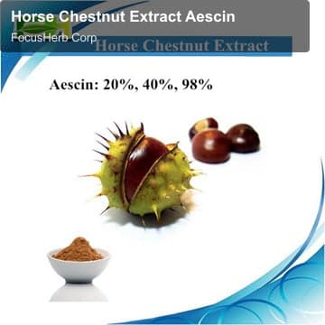 Horse Chestnut Extract Aescin