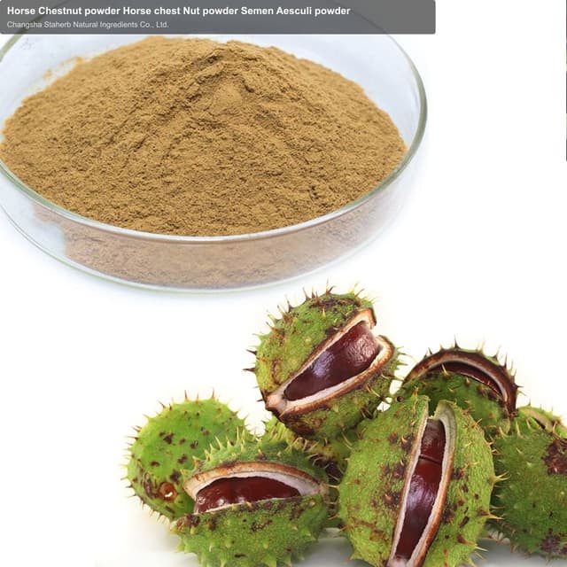 Horse Chestnut powder Horse chest Nut powder Semen Aesculi powder