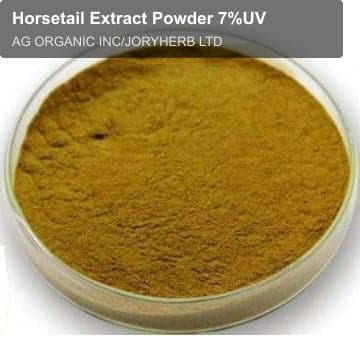 Horsetail Extract Powder 7%UV