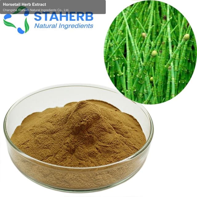 Horsetail Herb Extract