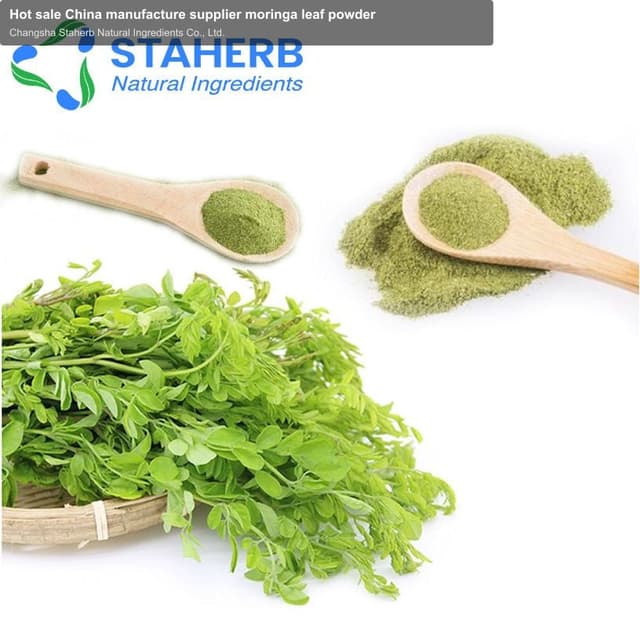 Hot sale China manufacture supplier moringa leaf powder