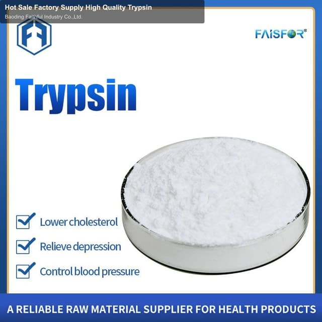 Hot Sale Factory Supply High Quality Trypsin