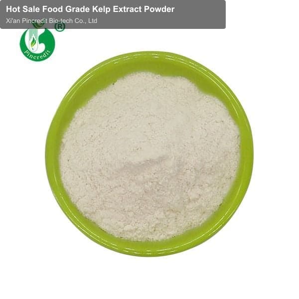 Hot Sale Food Grade Kelp Extract Powder