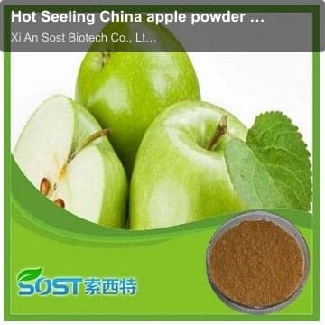 Hot Seeling China apple powder price