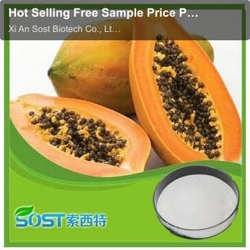 Hot Selling Free Sample Price Papain