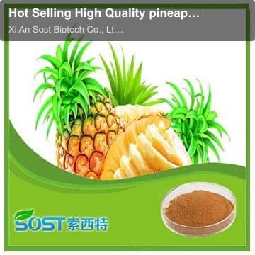 Hot Selling High Quality pineapple juice powder