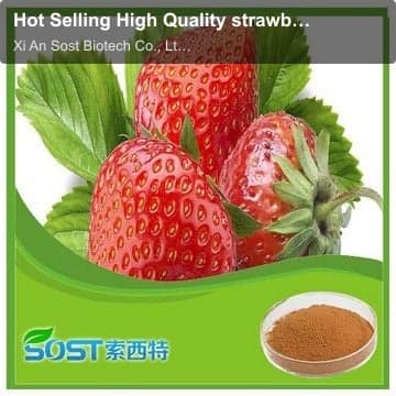 Hot Selling High Quality strawberry juice powder