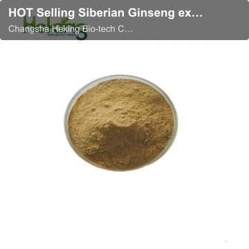 HOT Selling Siberian Ginseng extract
