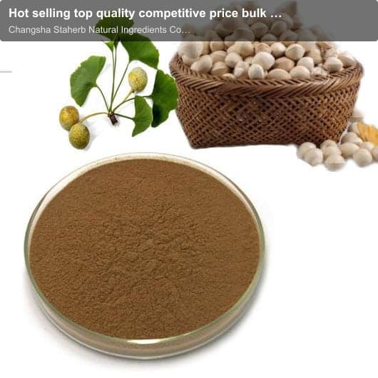 Hot selling top quality competitive price bulk ginkgo biloba extract
