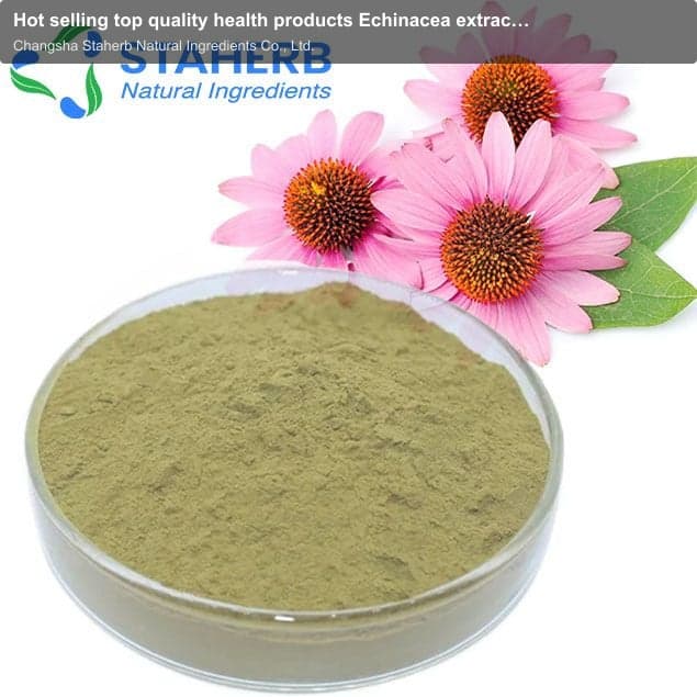 Hot selling top quality health products Echinacea extract Chicoric Acid