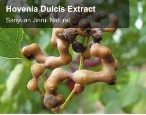 Hovenia Dulcis Extract
