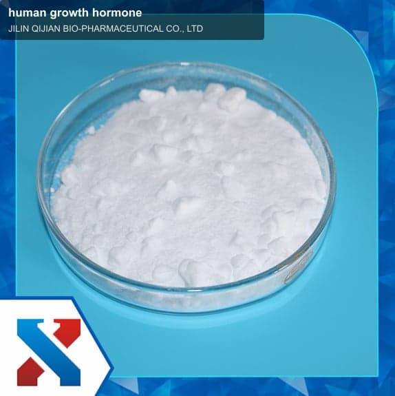 human growth hormone