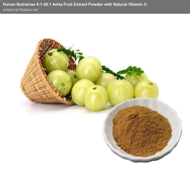 Hunan Nutramax 4:1-20:1 Amla Fruit Extract Powder with Natural Vitamin C