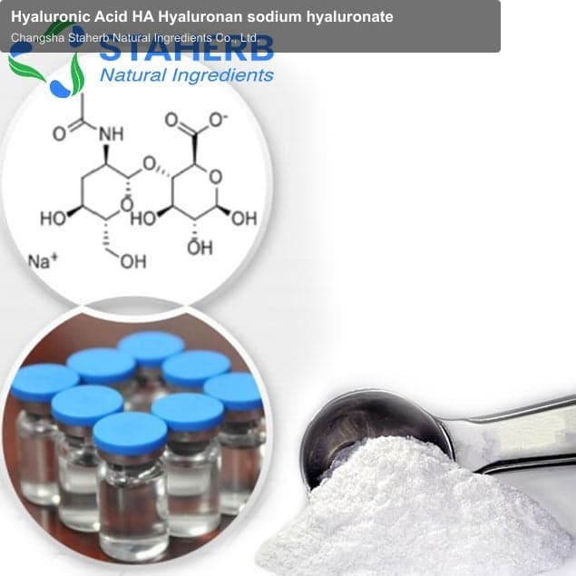 Hyaluronic Acid HA Hyaluronan sodium hyaluronate