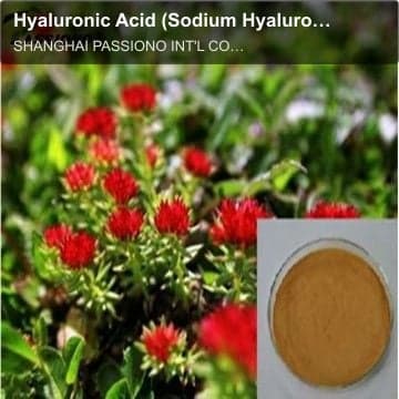 Hyaluronic Acid (Sodium Hyaluronate 99%Min)/ HA powder