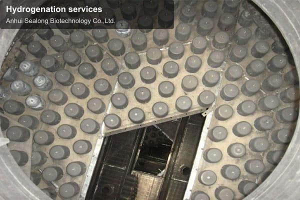 Hydrogenation services