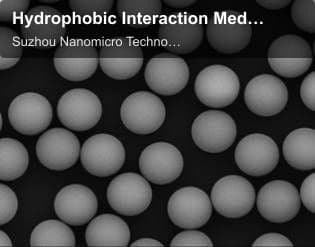Hydrophobic Interaction Media