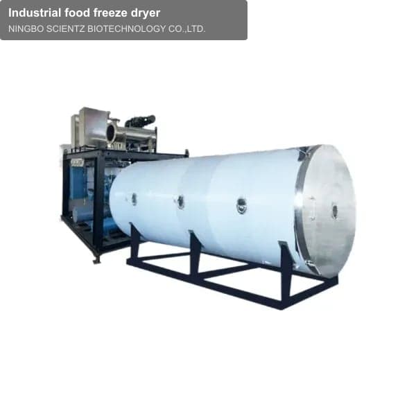 Industrial food freeze dryer