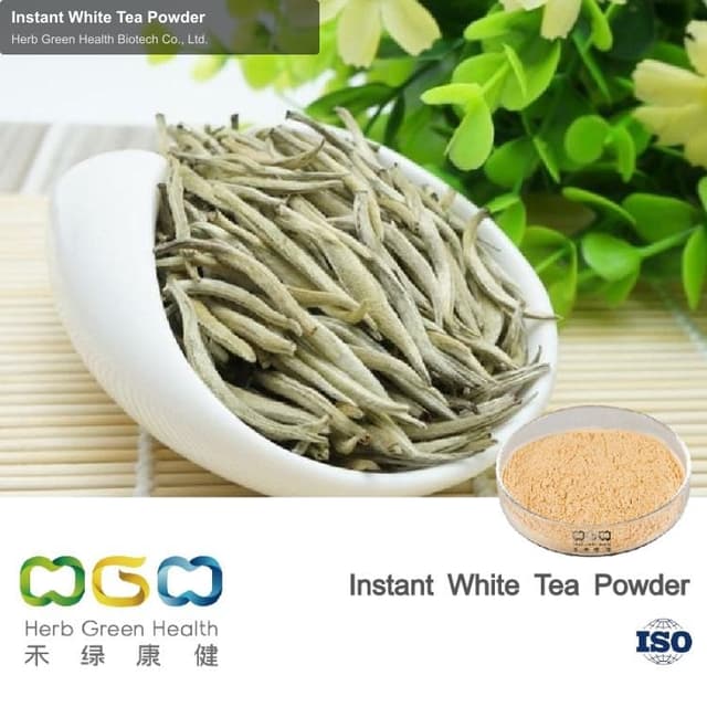 Instant White Tea Powder