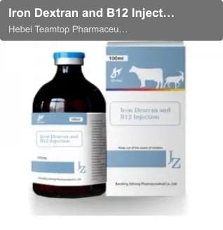 Iron Dextran and B12 Injection
