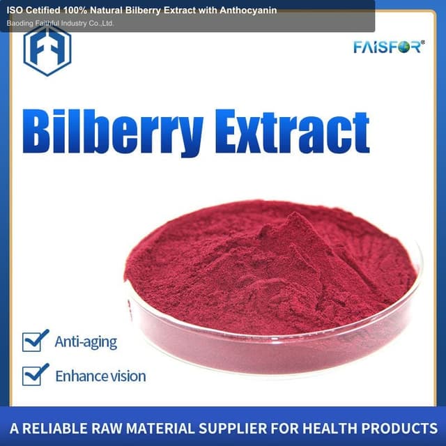 ISO Cetified 100% Natural Bilberry Extract with Anthocyanin