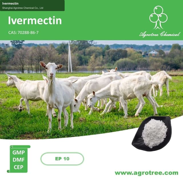 Ivermectin