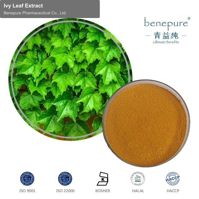 Ivy Leaf Extract