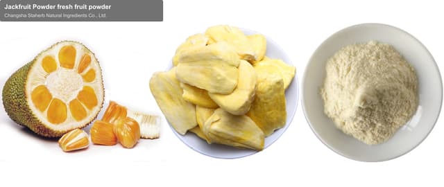 Jackfruit Powder fresh fruit powder
