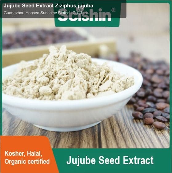 Jujube Seed Extract Ziziphus jujuba