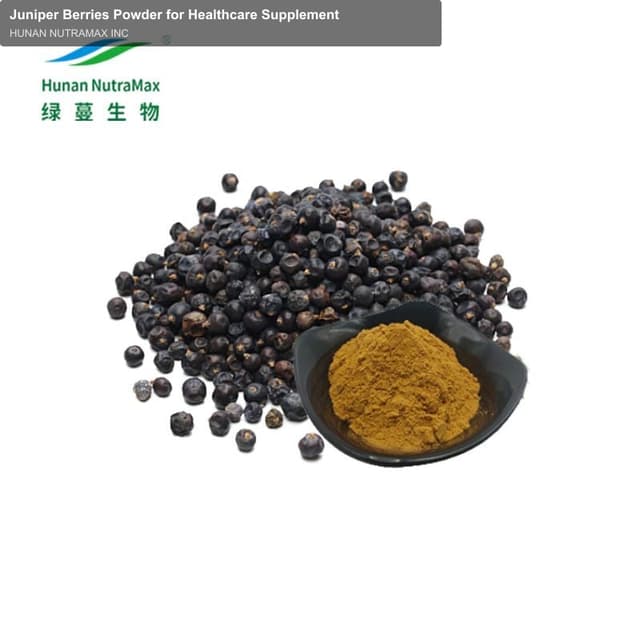 Juniper Berries Powder for Healthcare Supplement
