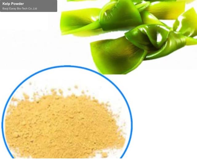 Kelp Powder