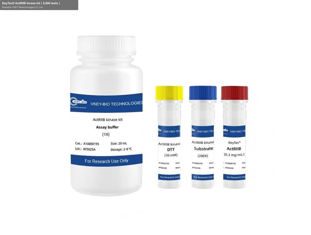 KeyTec® ActRIIB kinase kit（5,000 tests）