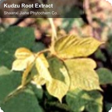 Kudzu Root Extract