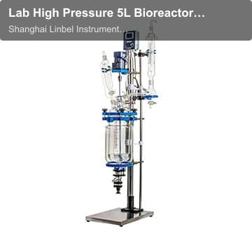 Lab High Pressure 5L Bioreactor Chemical Glass Reactor