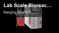 Lab Scale Bioreactor