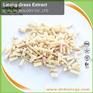 Lalang Grass Extract