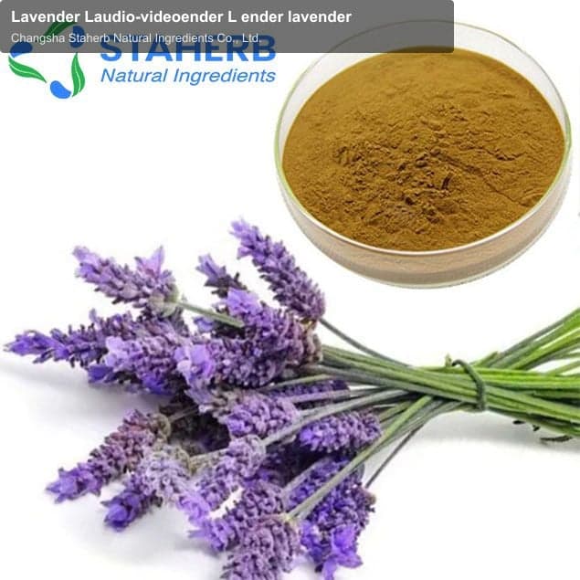 Lavender Laudio-videoender L ender lavender