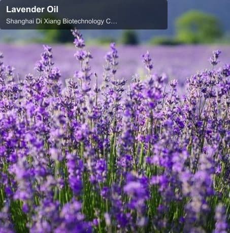 Lavender Oil