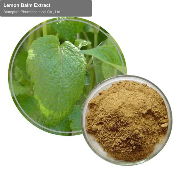 Lemon Balm Extract
