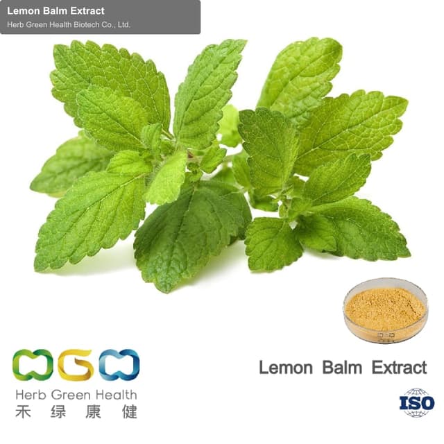 Lemon Balm Extract